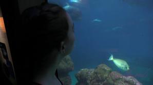 Danni has a great day out in Hawaii!